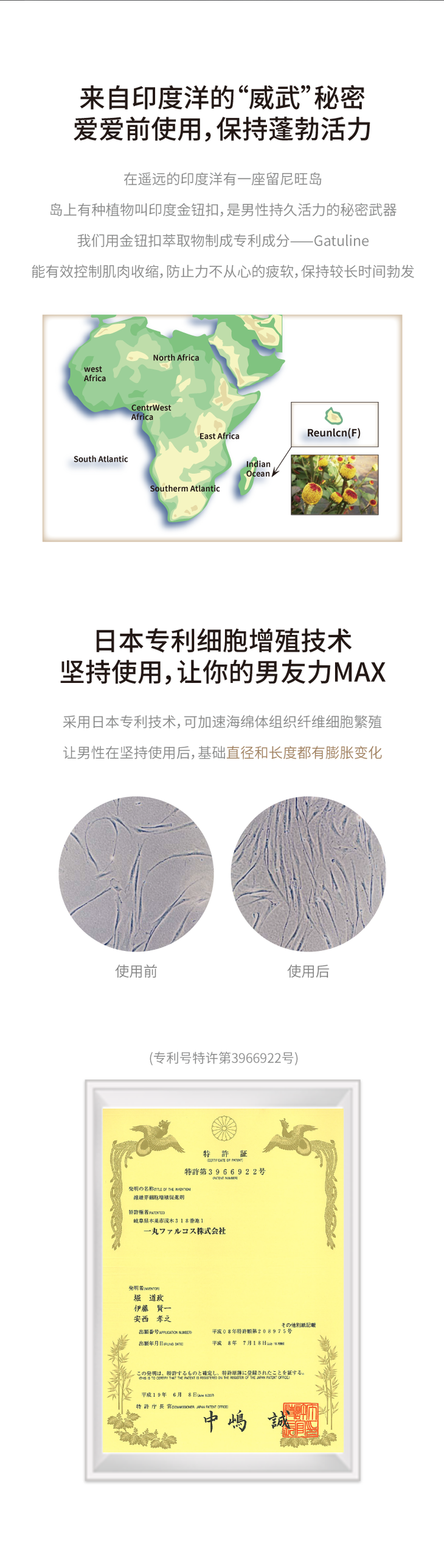 【北美直邮】中国网易春风MAX男士增大按摩精华油 - 30ml