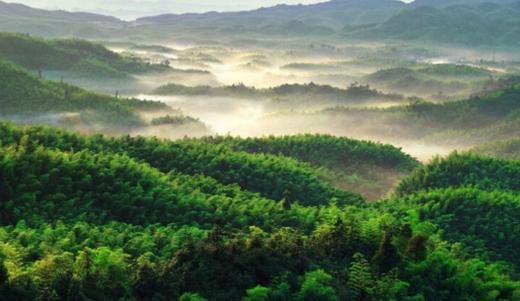 南山竹海行 商品图0