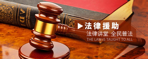 法律援助 商品图0