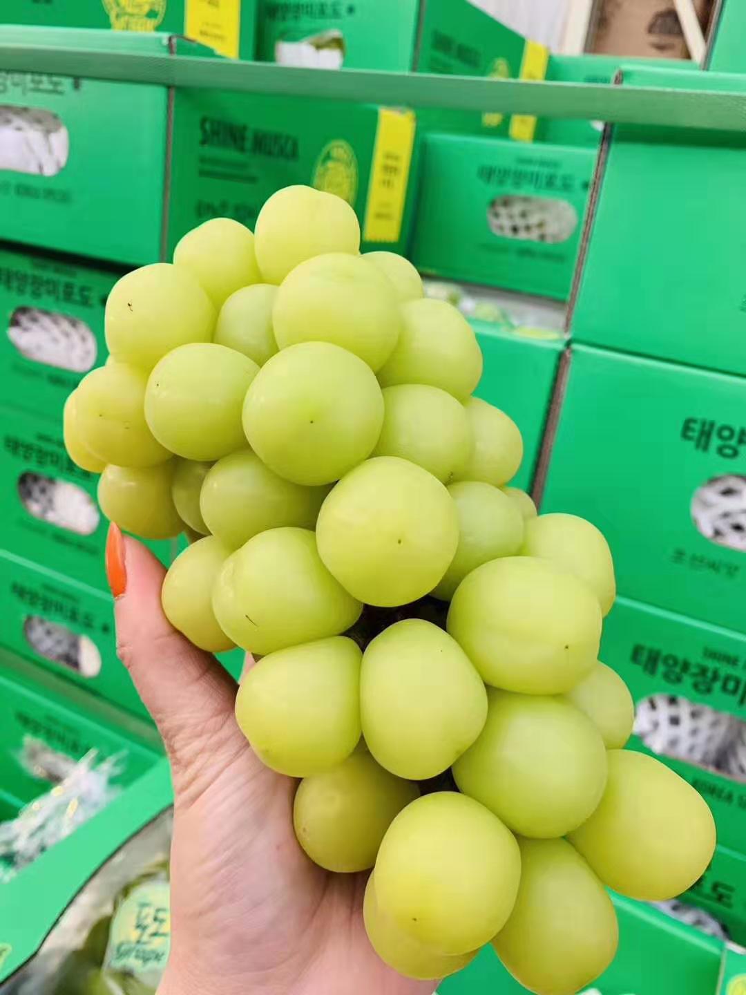 【全国包邮】韩国晴王,新鲜,纯正,味美,纯甜无渣超好吃,口感香甜,果肉