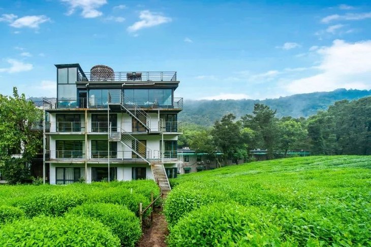 360°美景的茶田民宿,还有个高颜值小哥老板——杭州堂庭
