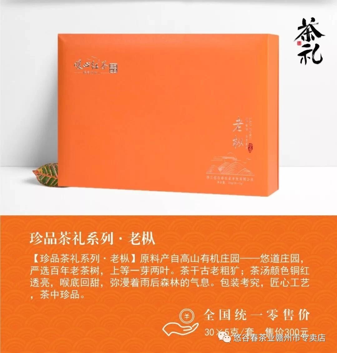 老枞试喝样品礼茶装