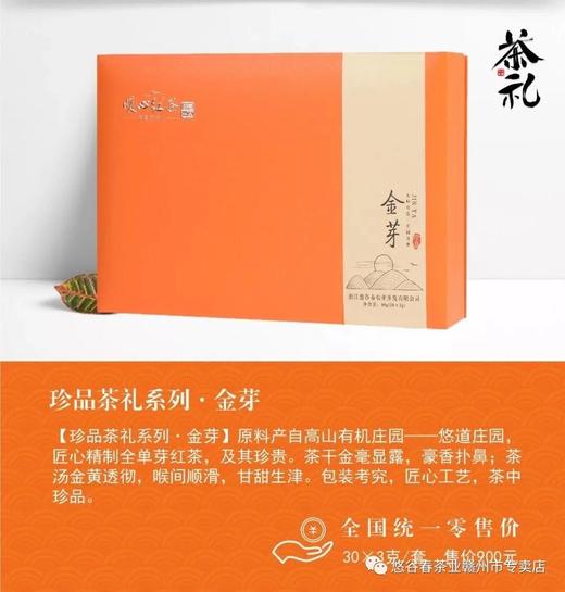 金芽红茶试喝样品3克/包 商品图0