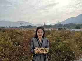 元旦特惠|满700元送道友会+芝麻丸