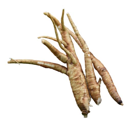 【嘎吉吉品】现货 新鲜菜当归农家现挖现发5斤装甜当归