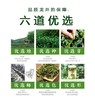 936 • 西湖龙井（雨前） 商品缩略图2