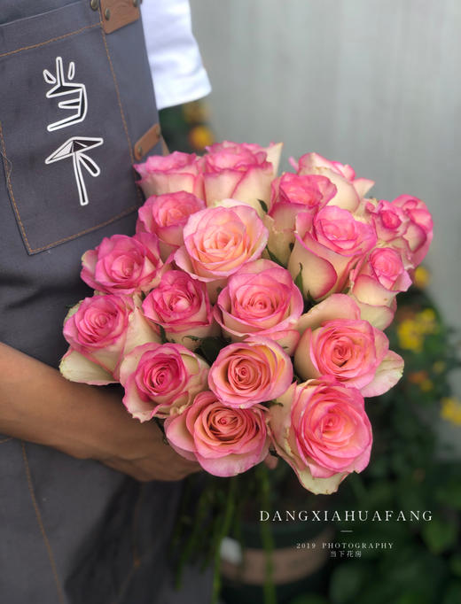 【红袖玫瑰.稀有】10支/份 买2份减20元 像挂在天边的晚霞