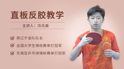 冯元瀚直板教学全集 商品图0