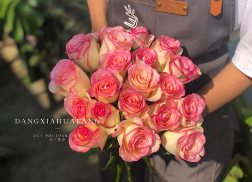 【红袖玫瑰.稀有】10支/份 买2份减20元 像挂在天边的晚霞