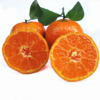 【3斤】广西马水桔3斤【当天提货】 商品缩略图1