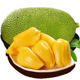 【1盒】现摘当季新鲜菠萝蜜1盒（重约250g-300g）【当天提货】