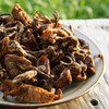 野生榛蘑干| 合作生产*Wild hazelnut mushrooms dried|Partner Production 商品缩略图1