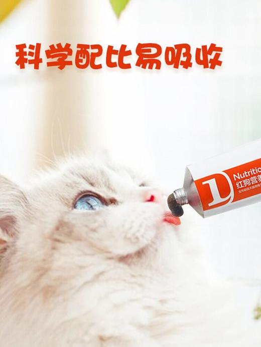 红狗化毛膏营养膏关节膏美毛膏120g鱼油223ml赖氨酸膏洁牙粉蛋黄卵磷脂猫草粉多维片钙片维生素B片 商品图4