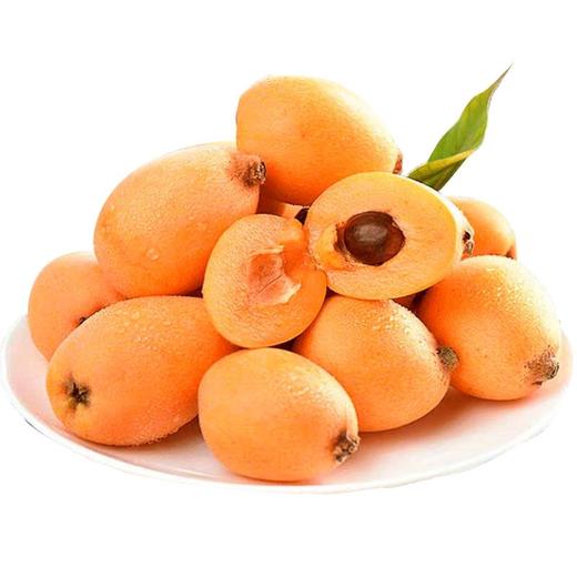 【2斤】新鲜四川枇杷  【当天提货】【当天提货】 商品图0