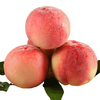 【用图】现摘新鲜 高山水蜜桃 毛桃2斤【当天提货】 商品缩略图2