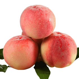 【1公斤】精品新鲜现摘水蜜桃毛桃 【当天提货】【当天提货】