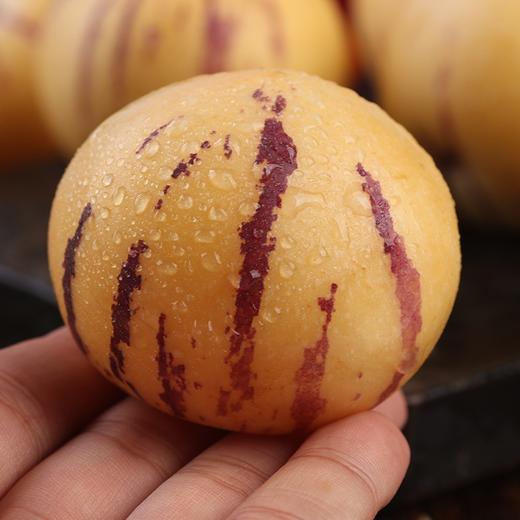 【2斤】现摘新鲜人参果 重约2斤【2日内提货】