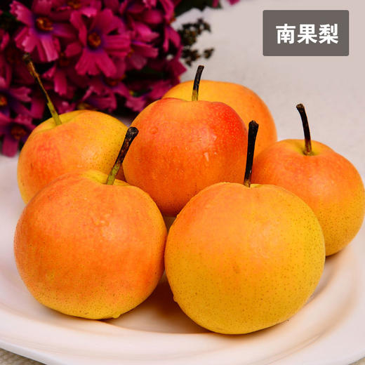 【2斤】辽宁鞍山南果梨正宗南国梨东北特产【当天提货】【当天提货】 商品图0