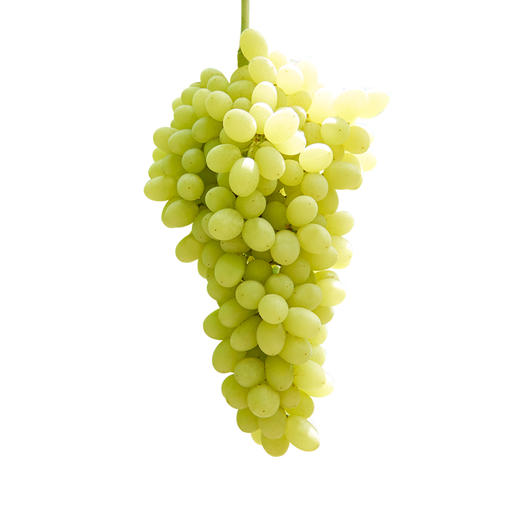 【2斤】新疆木纳格白葡萄 新鲜 重约2斤【2人内提货】 商品图1