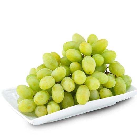 【2斤】新疆木纳格白葡萄 新鲜 重约2斤【2人内提货】 商品图3