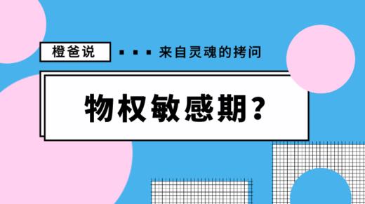 二宝抢大宝的东西，你该怎么办？ 商品图0
