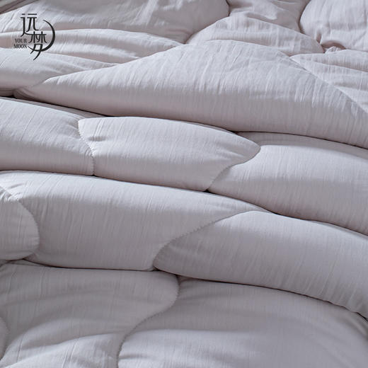 【远梦】蚕宝柔肤四季被 商品图5