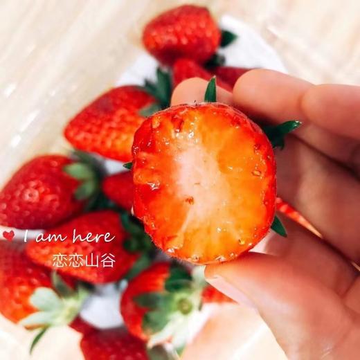 恋恋山谷有机草莓1000g 果肉饱满/口感香甜 商品图1