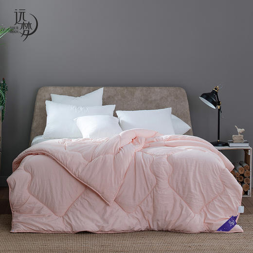 【远梦】蚕宝柔肤四季被 商品图3