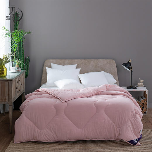 【远梦】蚕宝柔肤四季被 商品图4