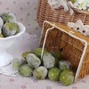 冰橄榄 商品缩略图4