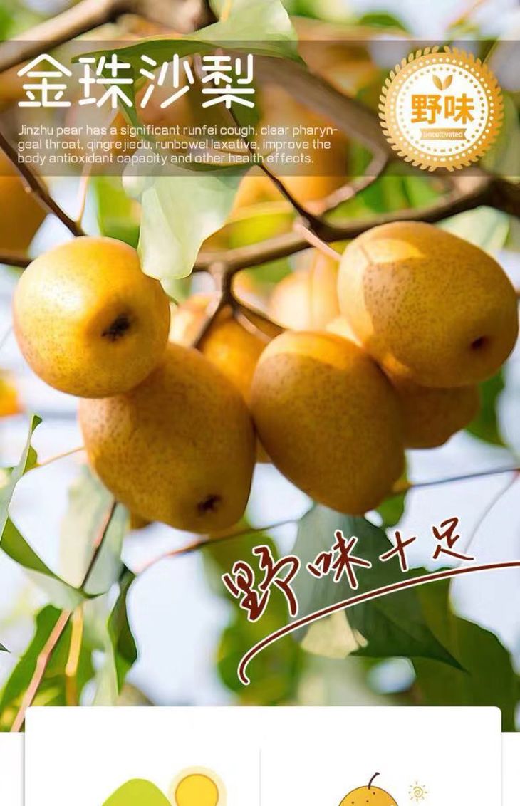 ʱ롿ɳ桿ƤС ֭ ϸ ɫ ڸ