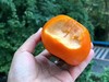 商品缩略图