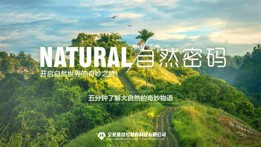 五指山的“八戒” 商品图0