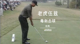 老虎伍兹的＂毒刺＂低飞击球，这项神技必须要掌握。