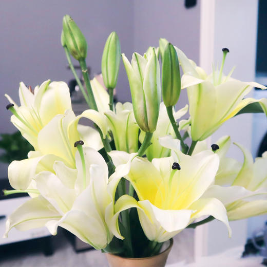 【周四秒杀】多头黄百合5枝59.8元 商品图1