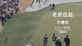 经典老虎｜2001世界杯的“经典神切”你需要完美的想象力和执行力！