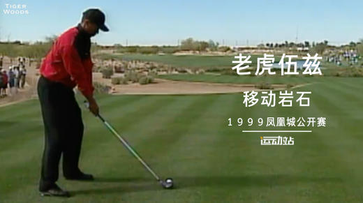 经典老虎｜小球被巨石阻挡，粉丝太强大直接搬走！ 商品图0