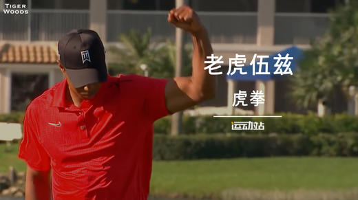 伍兹的“虎拳”时刻，你是不是也挥过？ 商品图0