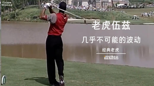 经典老虎｜无所不能的反击，你是不是也有过这样的经历？ 商品图0