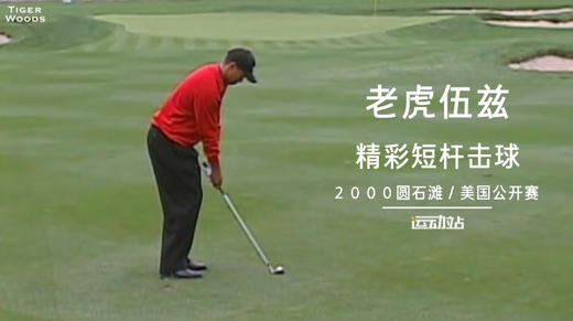 经典老虎｜2000美国公开赛手感发烫的“球王”已经无所不能！ 商品图0