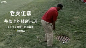 经典老虎｜井盖上的精彩一击，这是什么打法！