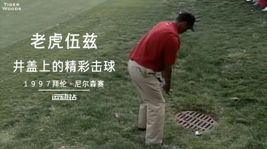 经典老虎｜井盖上的精彩一击，这是什么打法！ 商品图0