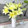 【周四秒杀】多头黄百合5枝59.8元 商品缩略图0
