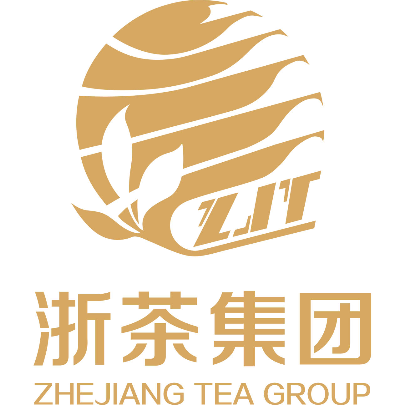 浙茶百汇