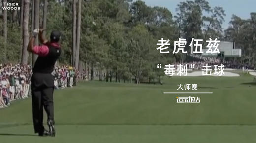 老虎伍兹在美国大师赛的＂毒刺＂击球欣赏 商品图0
