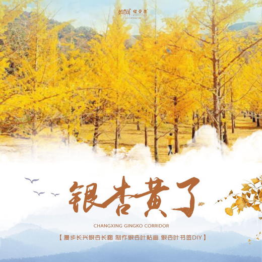 孩子志旅行 | 银杏黄了/// 银杏衬秋光，踏秋赏色来长兴银杏长廊、和孩子动手做一幅银杏叶贴画、树叶书签DIY，享受美好亲子时光，体验一场金色视觉盛宴！ 商品图0