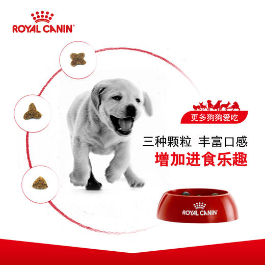 皇家幼犬粮A3/成犬粮CC3.5kg/8kg 商品图1