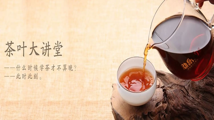 普洱大讲堂