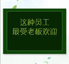 这种员工最受老板欢迎 商品缩略图0