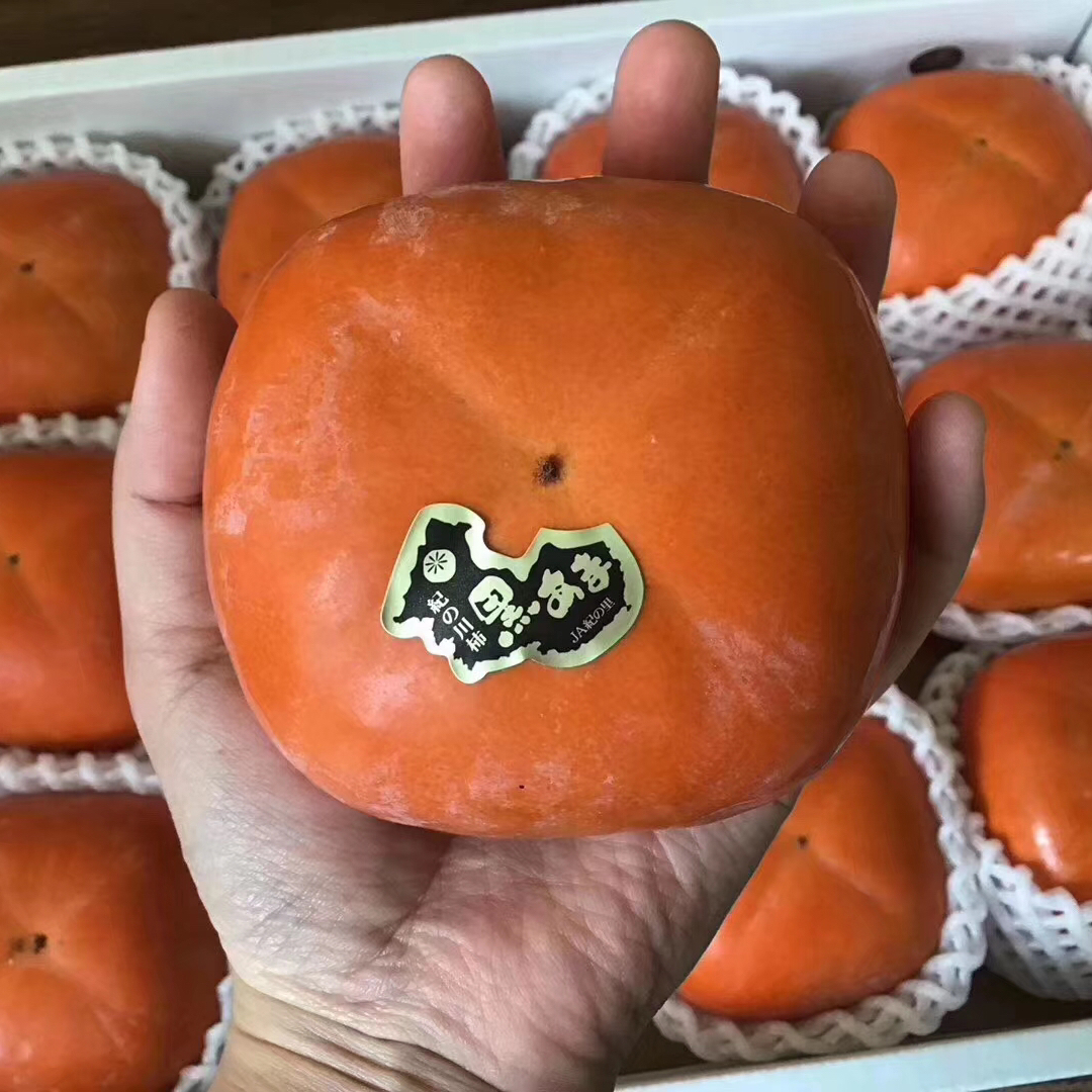 日本纪川黑柿# 个头比普通柿子要大,实至名归-…好吃的柿子,硬的时候